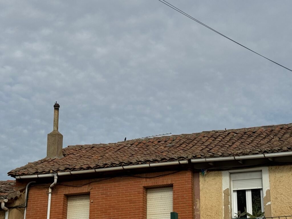 Tejado de vivienda antes de la rehabilitación en Valdevimbre Tejado de teja tradicional en vivienda de Valdevimbre (León) antes de la rehabilitación, con canalones antiguos y chimenea.